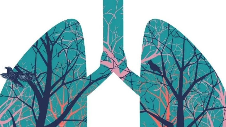 小魚兒論壇全免費(fèi)必出,中國籃協(xié)新班底出爐,廣泛的解釋落實(shí)方法分析_高清版V7.45